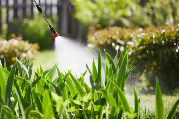 24/7 Emergency Termite Control experts in Dry Ridge, KY